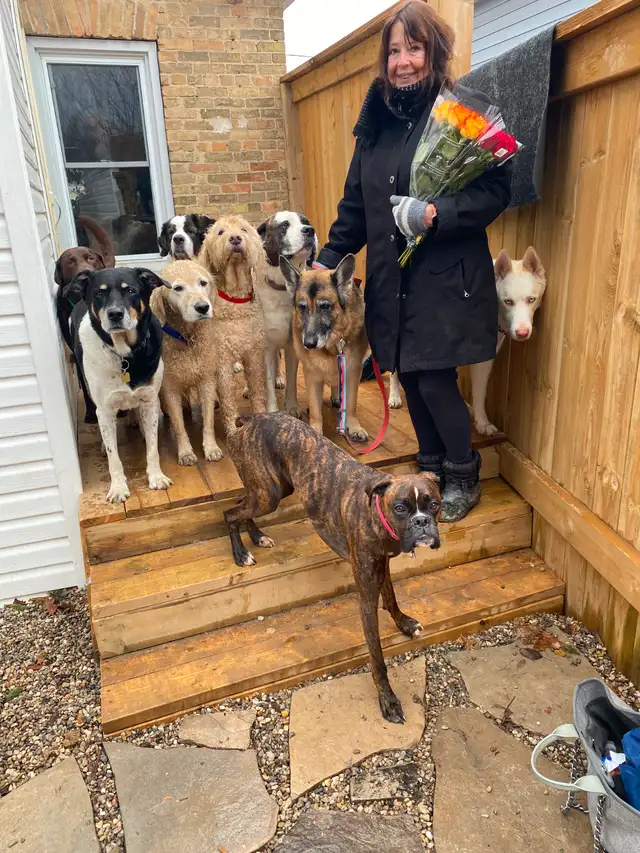 DON’T IMPOUND YOUR POOCH. DOG BOARDING IN MY HOME