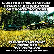 CASH FOR TUBS & FREE REMOVAL OF UNWANTED HOT TUBS / SWIM SPAS - Photo 4