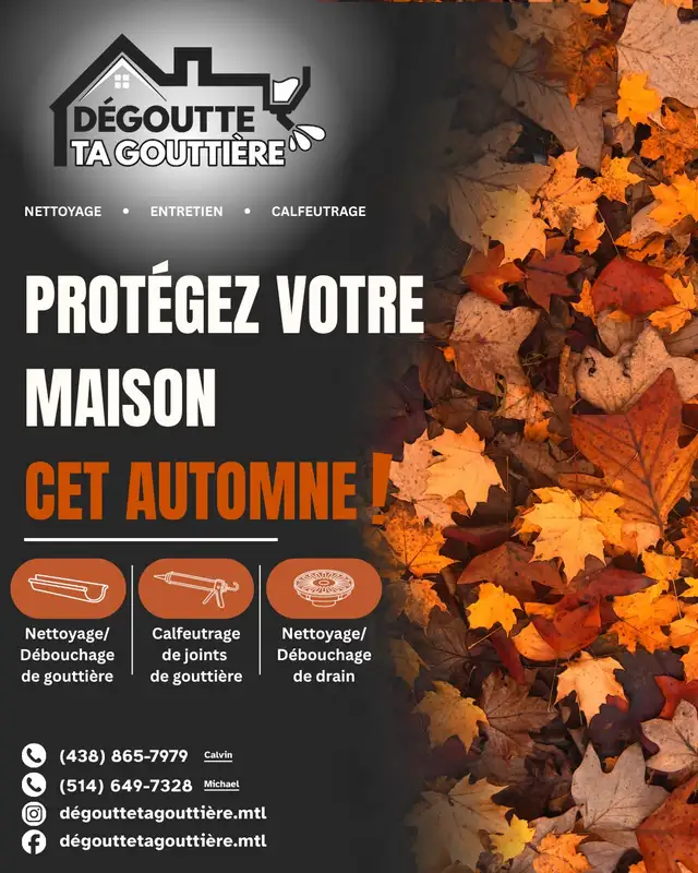 Nettoyage gouttière/ drain de toit
