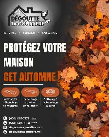 Nettoyage gouttière/ drain de toit