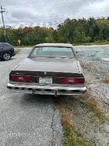 1983 Pontiac Parisienne - Photo 3
