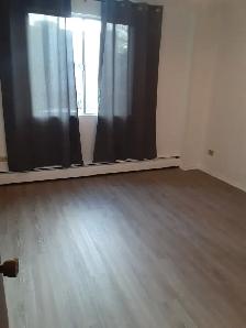 1 Bedroom Apartment - Photo 3