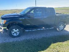 2013 F150 4x4 - Photo 2