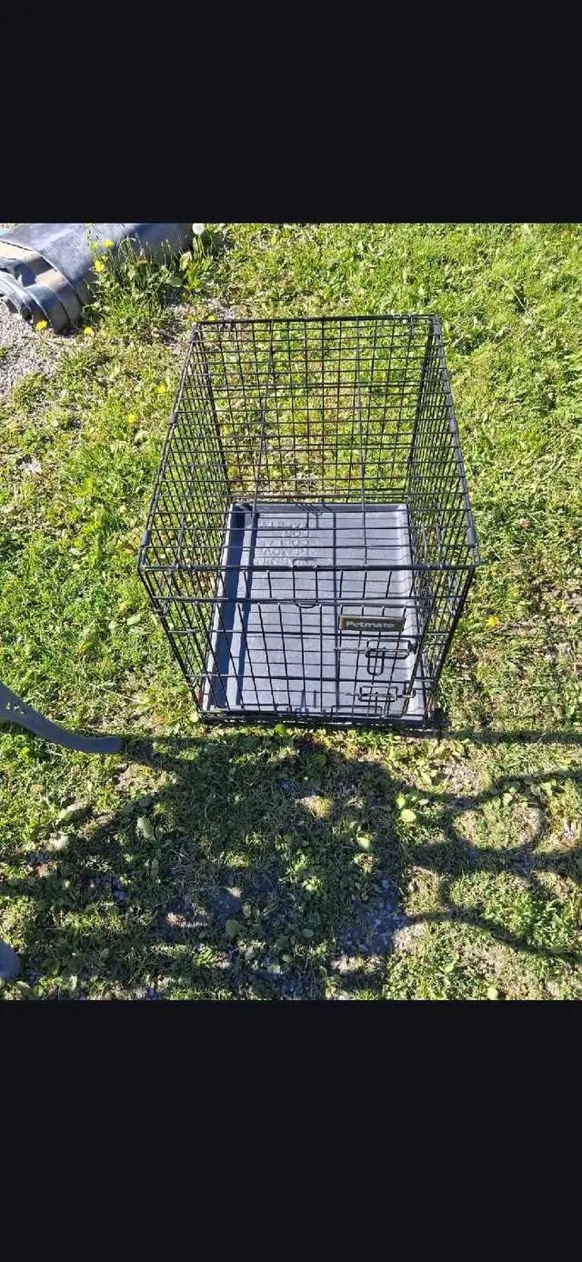 Dog cage for sale