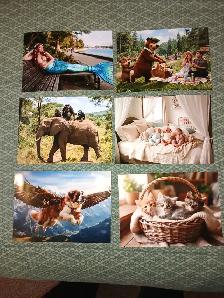 Portraits - Photo 8