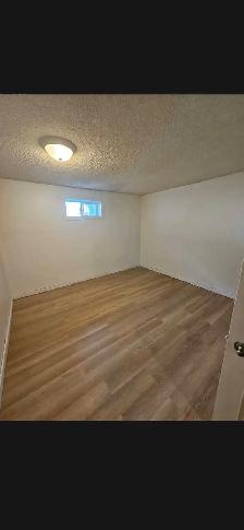 2 bedrooms Basment Suite- Pet Friendly - Photo 4