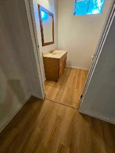 2 bedrooms Basment Suite- Pet Friendly - Photo 6
