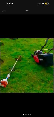 BACKYARD CLEAN-UP