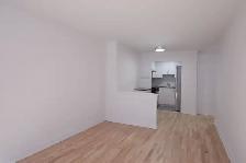 renovated 3.5 for rent, Dec 1, Snowdon, HEC, UdeM - ID 1507