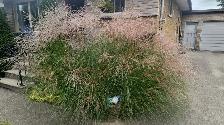 House for sale - Photo 9