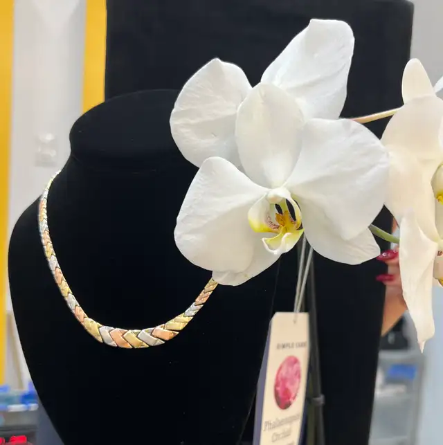 Tri-color Gold Necklace 10k