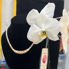 Tri-color Gold Necklace 10k