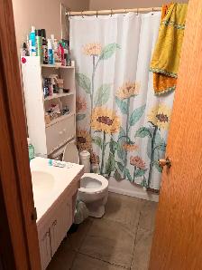 ROOM FOR RENT - MARLBOROUGH PARK - Photo 6