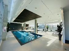 Studio 1 Bath - Apartment - Photo 3