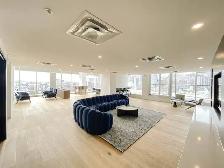 Studio 1 Bath - Apartment - Photo 9