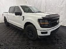 2024 Ford F-150 XLT 302A BLACK APPEARANCE PKG | FX4 OFF ROAD PKG - Photo 2