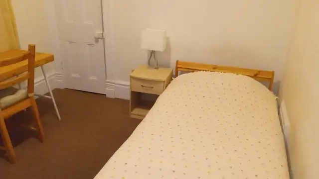 Cozy furnished room downtown available November 1 - female only