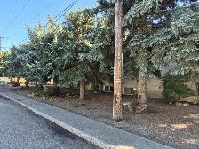 13 Unit Apartment Building - Photo 8