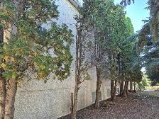 13 Unit Apartment Building - Photo 9