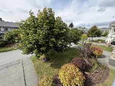 26-101 Spacious townhouse in Eastern Passage - Photo 25