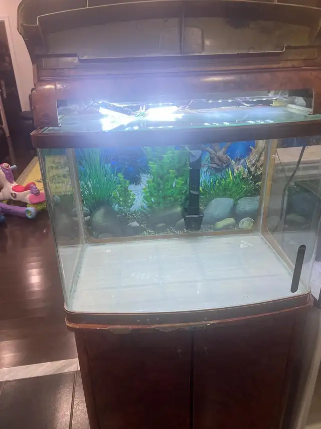 Tanks for sale