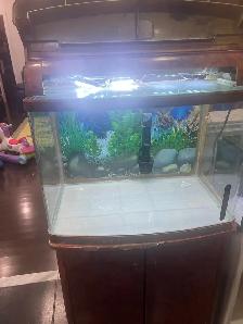 Tanks for sale