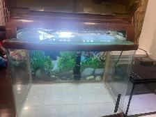 Tanks for sale - Photo 2