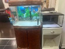 Tanks for sale - Photo 3