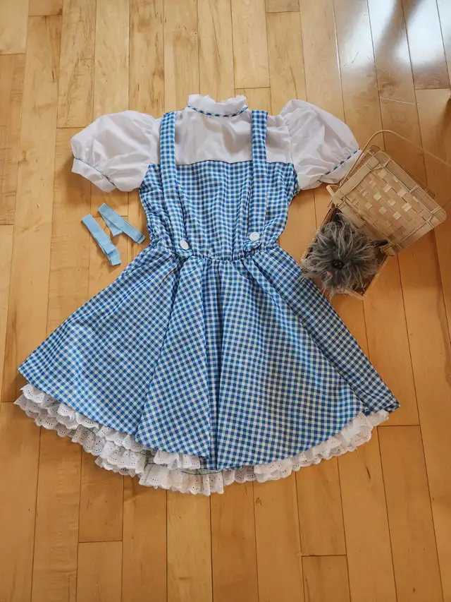 Wizard of Oz  - Dorothy Costume - Youth Large