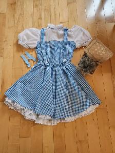 Wizard of Oz  - Dorothy Costume - Youth Large