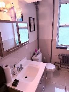 SPACIOUS & AFFORDABLE 3½ FOR RENT IN NDG - Photo 4