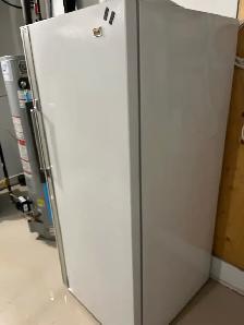 Freezer Upright - Photo 3