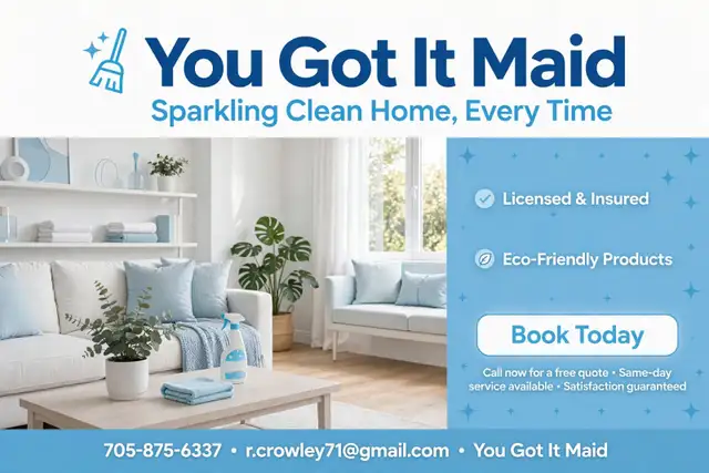 Professional House Cleaner