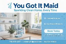Professional House Cleaner