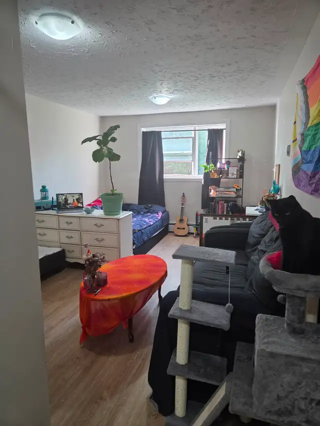 Studio Apartment - November 1st