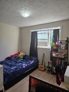 Studio Apartment - November 1st - Photo 3