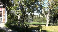 A beautiful lower unit of 4-plex for rent in Capitol Hills - Photo 9