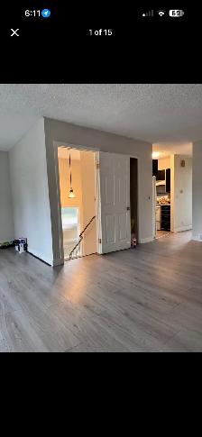 270 templeview way Ne - Photo 3