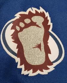 (9926272) Reebok Colorado Avalanche Jersey- Size XL - Photo 7