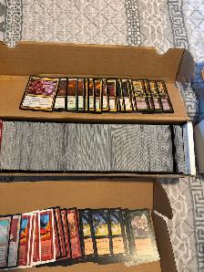 MTG Collection - Photo 5