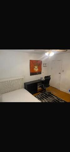 Scarborough warden and Lawrence rooms for rent - Photo 3
