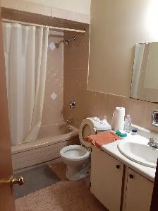 2 rooms for rent