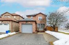 Newly Renovated Basement Apartment for Rent