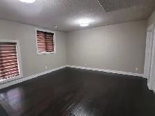 2 Bed 2 Bath Walkout, Fireplace   Laundry, $1800 Utilities Incl. - Photo 4