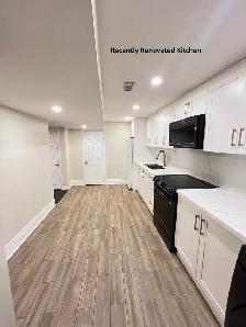 2 Bed 1 Bath Separate Entrance Basement Unit for Rent in Markham