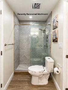 2 Bed 1 Bath Separate Entrance Basement Unit for Rent in Markham - Photo 4