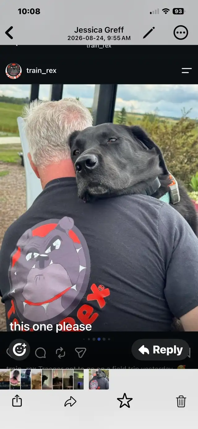 Dog Training and Trainers for Busy People