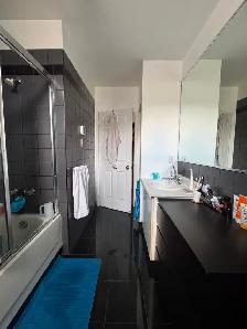 4 1/2 Little Italy - Photo 2