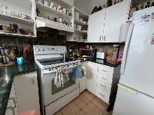 4 1/2 Little Italy - Photo 7