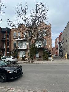 4 1/2 Little Italy - Photo 10